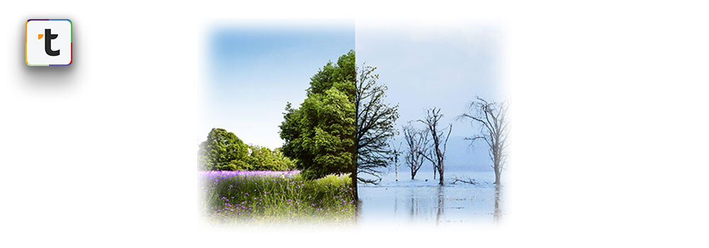 Wholesale Product Planning During Seasonal Transitions from Winter to Summer